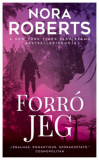 Forr&oacute; j&eacute;g - Nora Roberts