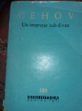 UN IMPRESAR SUB DIVAN CEHOV T 12/ 13