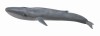 Figurina Balena Albastra Collecta, Plastic, 3+ ani, 28.4 cm. Jucarie realistica