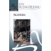 Tiganiada - Ion Budai-Deleanu - Gramar - Carte Povesti copii