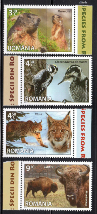 ROMANIA 2013, Fauna, Specii din Romania, MNH, serie neuzata, 2003