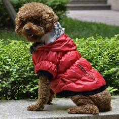 Jacheta pentru caine, cu mansete negre - rosu, XXL foto