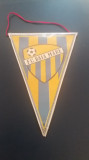 M3 C7 - Tematica cluburi sportive - FC Baia Mare