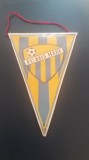 D9 SP 2 - Tematica sport - cluburi sportive - FC Baia Mare