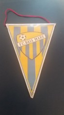 D9 39 - fanion - sport - cluburi sportive - FC Baia Mare