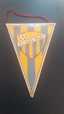 M3 C7 - Tematica cluburi sportive - FC Baia Mare foto