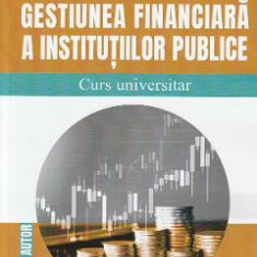 Gestiunea financiara a institutiilor publice. Curs universitar - Elena Dobre