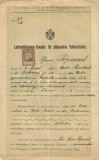 A4319N Certificat de calificare profesională ca &icirc;nvățător pentru rom&acirc;n din Bucovina, 1916/Lehrbef&auml;higung-Zeugnis f&uuml;r allgemeine Volksschulen