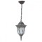 Felinar Antique (Vintage) cu lanț 220V 60W Ip43
