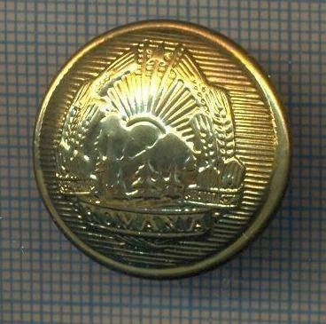 Y 1899 NASTURE METALIC -MILITAR -PERIOADA RSR- PENTRU MANTA-PENTRU COLECTIONARI
