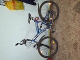 Vand bicicletă TECNOBIKE