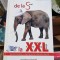 De la Small la eXtra eXtra Large - Tina Kuckelmann