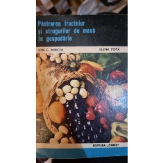 Pastrarea fructelor si strugurilor de masa in gospodarie - Ion C. Mircea, Elena Popa