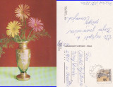 Ilustrata Cehia-Felicitare flori, Circulata, Printata