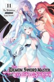 The Demon Sword Master of Excalibur Academy, Vol. 11 (Light Novel)