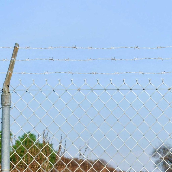 vidaXL S&acirc;rmă ghimpată Argintiu 50 m 42010304