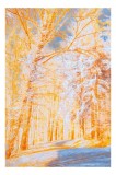 Tablou Canvas pe teme de toamnă și natură, 26 x 39 cm, CMCLASS