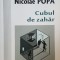 Cubul de zahar- Nicolae Popa