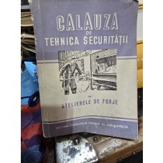 Calauza de Tehnica securitatii in atelierele de forje - onsiliul Central al Sindicatelor