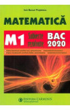 Matematica M1. Bacalaureat. Subiecte rezolvate - Ion Bucur Popescu