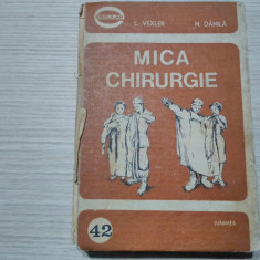 MICA CHIRURGIE - L. Vexler, N. Danila - Editura Junimea, 1984, 376 p.