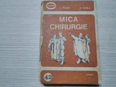 MICA CHIRURGIE - L. Vexler, N. Danila - Editura Junimea, 1984, 376 p. foto