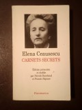 Elena Ceaușescu - Carnets secrets (edition presentee et etablie par Patrick Rambaud et Francis Szpiner)