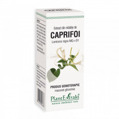 PLANTEXTRAKT LONICERA NIGRA MLADITE CAPRIFOI 50ML