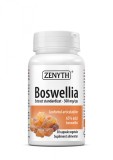 Boswellia 500mg Extract Standardizat, 30 capsule vegetale, Zenyth