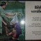 Biblia versificata
