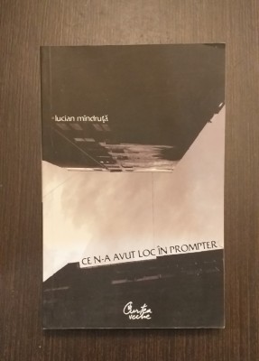 CE N-A AVUT LOC IN PROMPTER - LUCIAN MANDRUTA foto