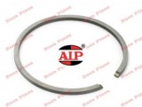 Segment 41.5mm x 1.2 mm AIP