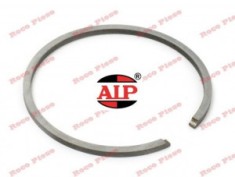 Segment 41.5mm x 1.2 mm AIP