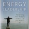 ENERGY LEADERSHIP by BRUCE D. SCHNEIDER , TRANSFORMING YOUR WORKPLACE AND YOUR LIFE FROM THE CORE , 2008