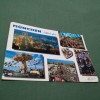 CARTE POSTALA MUNCHEN CIRCULATA