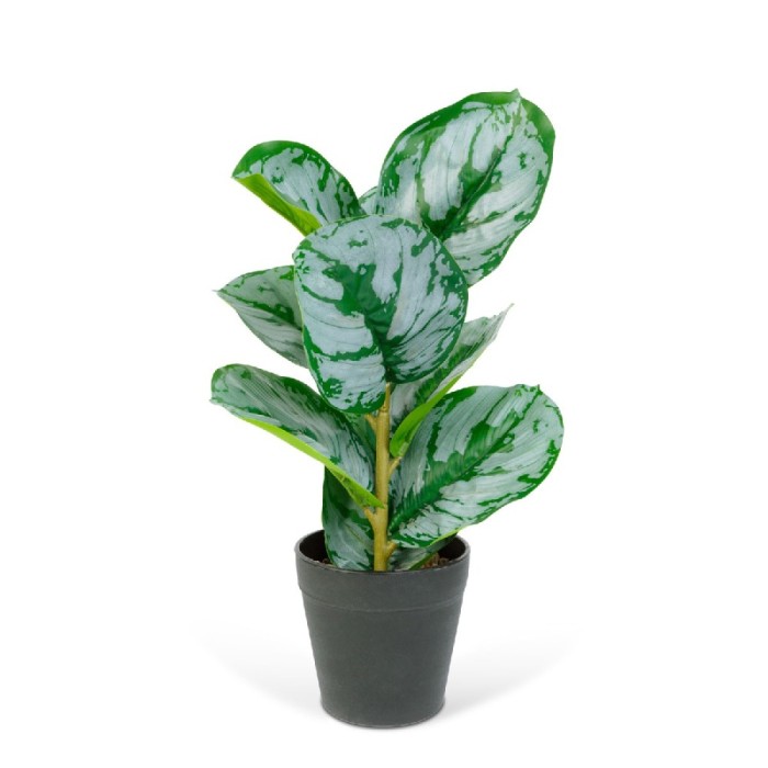 Planta artificiala decorativa - Frunza de zebra verde/alb - 34 x 9 cm Best CarHome