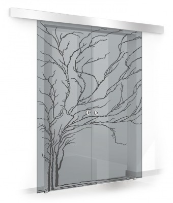 Usa culisanta Boss &amp;reg; Duo model Tree negru, 60+60x215 cm, sticla gri securizata, glisanta in ambele directii foto
