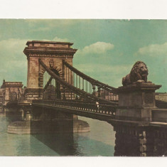 FA16 - Carte Postala- UNGARIA - Budapesta, podul cu lanturi, necirculata