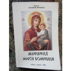 MINUNILE MAICII DOMNULUI-PROTOS. NICODIM MANDITA