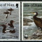 Isle of Man 1989 - Pasari WWF serie neuzata