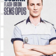 Flash-uri din sens opus - Paperback brosat - Marian Godină - Curtea Veche