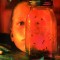 CD Alice In Chains - Jar of Flies 1994