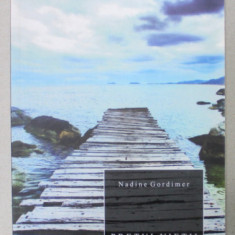 PRETUL VIETII de NADINE GORDIMER , roman , 2009