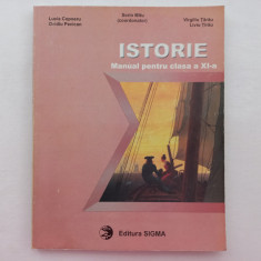 ISTORIE. MANUAL PENTRU CLASA A XI- A - SORIN MITU, LUCIA COPOERU, OVIDIU PECICAN