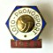 INSIGNA LOTO PRONOSPORT AN 1954 RPR DEOSEBITA