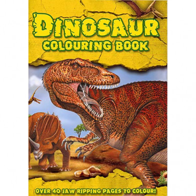 Carte de colorat Dinosaur colouring book - 32 pagini + 3 ani foto