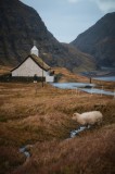 Tablou Canvas, "Oaia singuratică l&acirc;ngă biserică &icirc;n munți", Sheep, Church, Valley, Mountains, Grass, Path, Overcast, Calm, 26 x 39 cm, CMCLASS