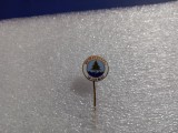 Insigna Bradul Viseu