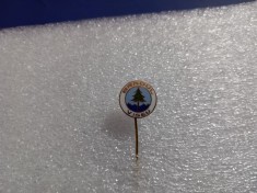 Insigna Bradul Viseu foto