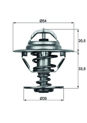 MAHLE TX 8 88D termostat,lichid racire foto
